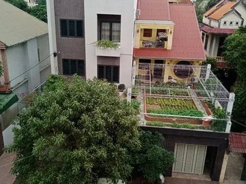 Giám đốc Sở Nội vụ Nghệ An bị tố cáo xây dựng nhà trái phép?